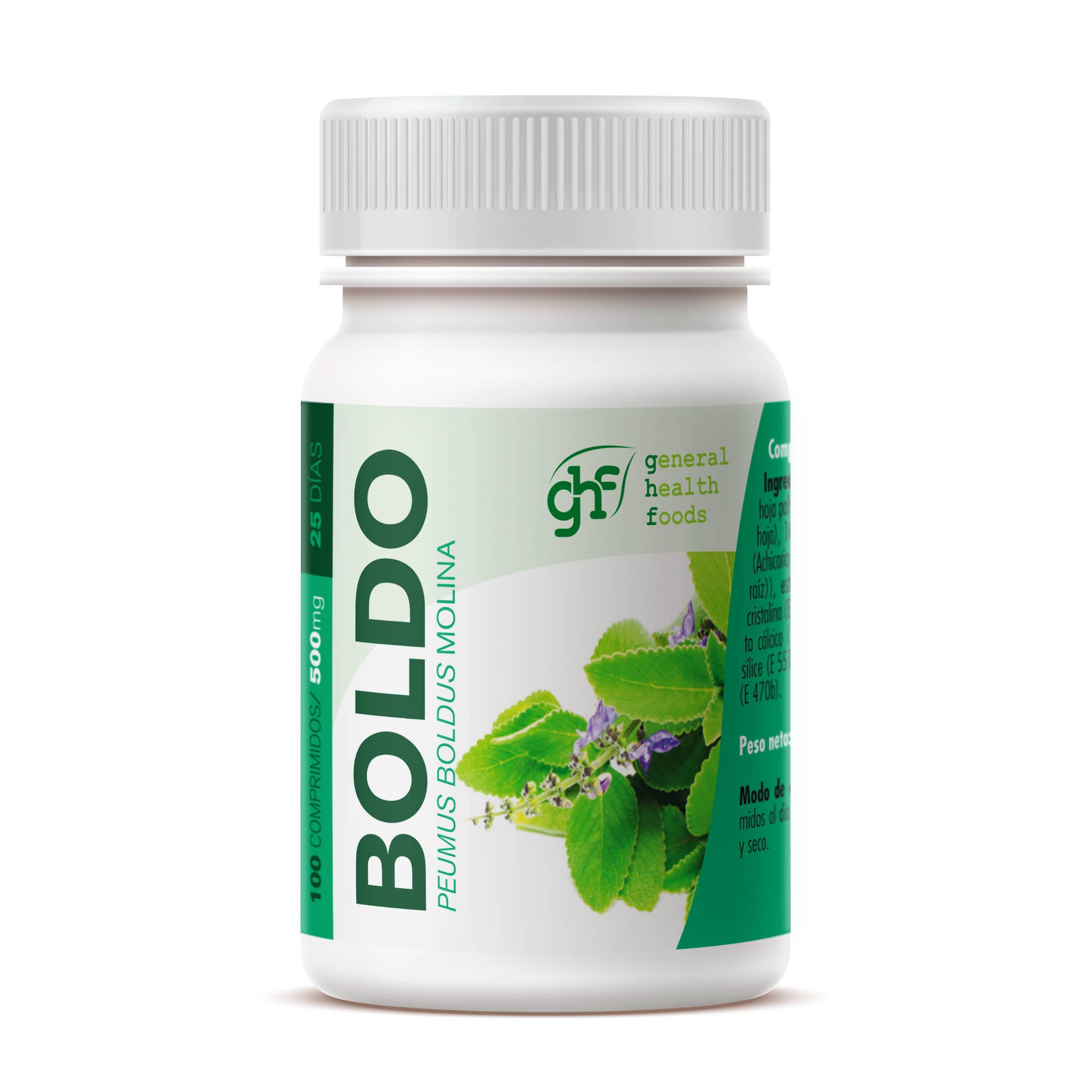 Boldo 100 500mg tablets