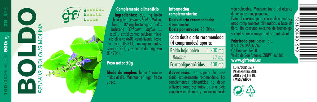 Boldo 100 500mg tablets