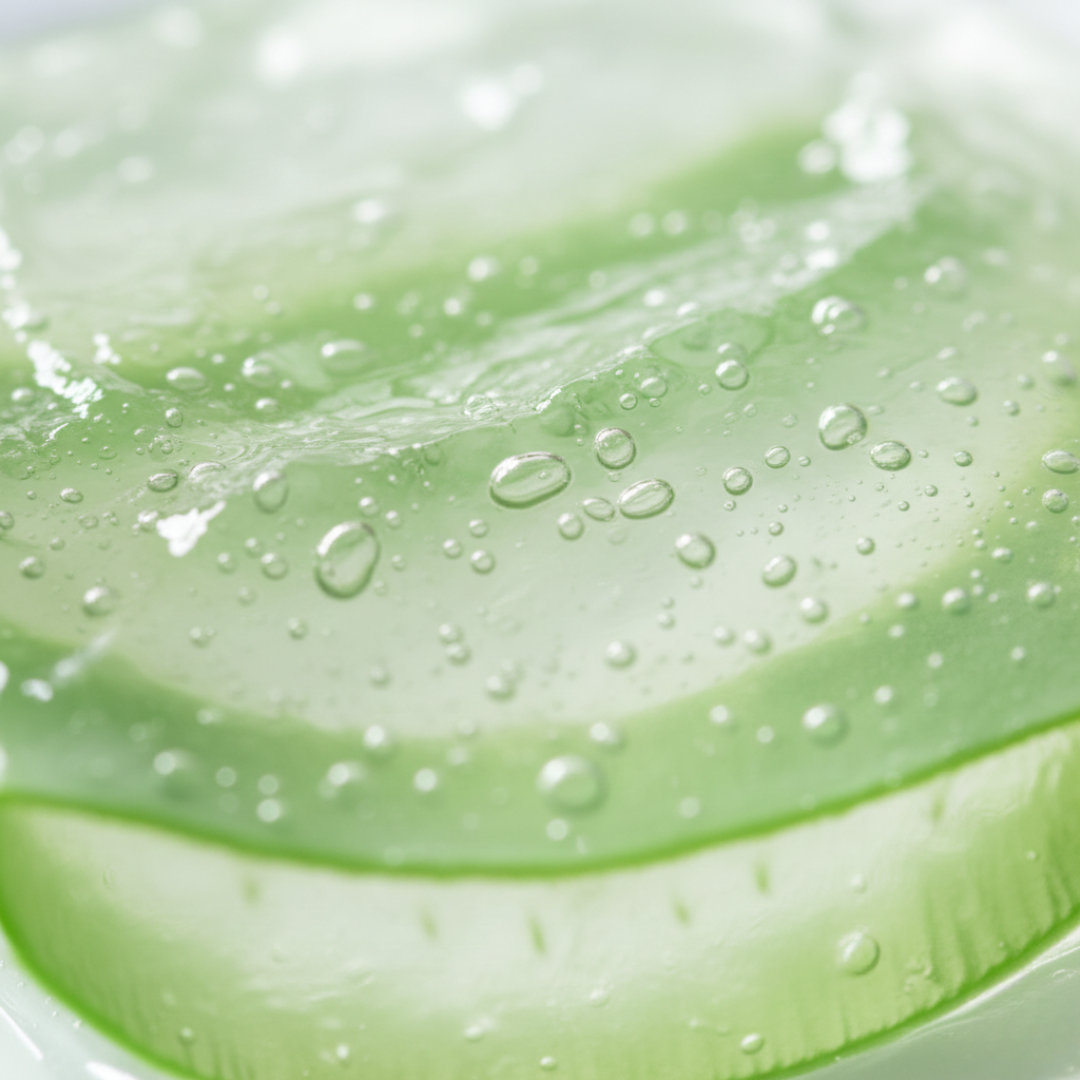 Bebida de Aloe Vera 1L