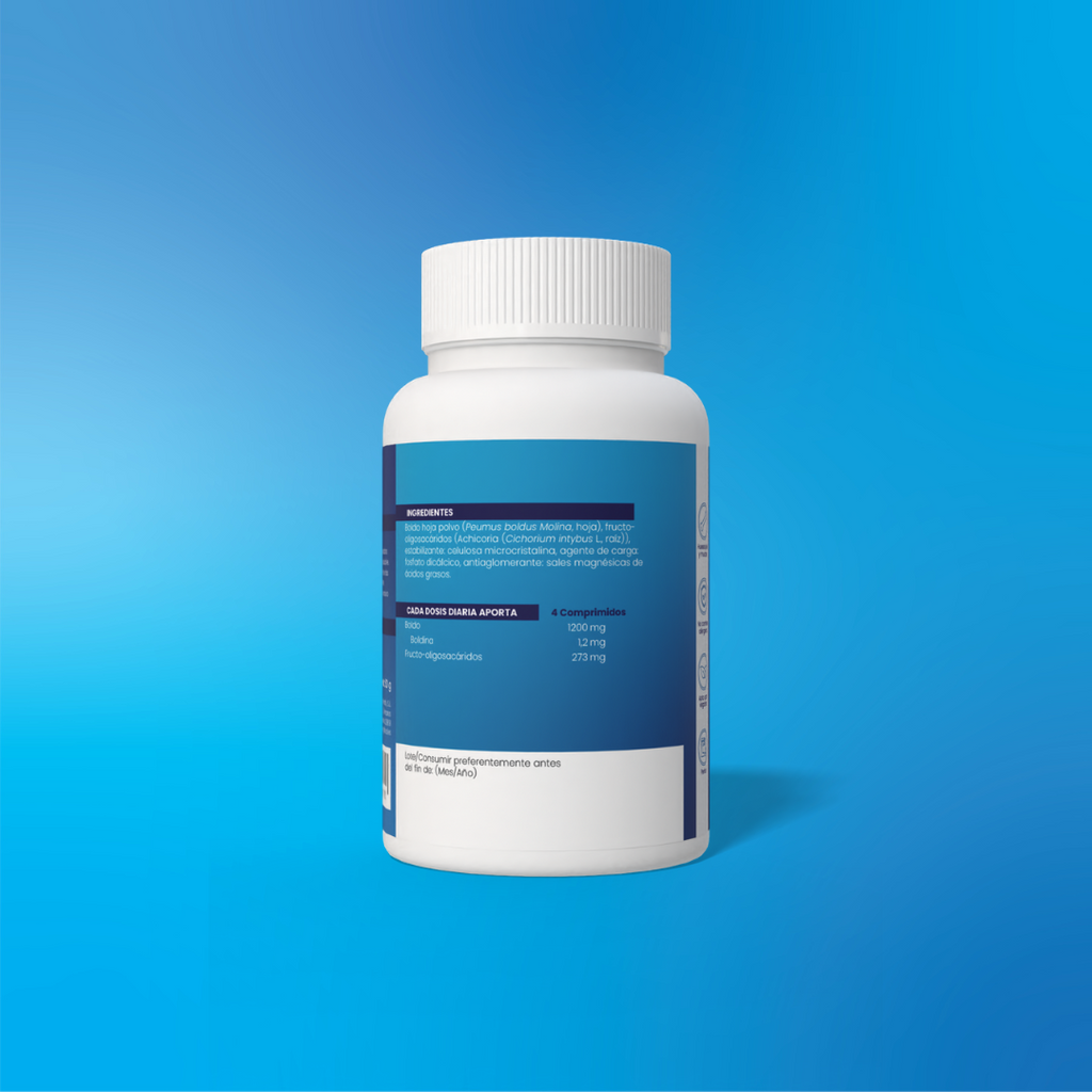 Boldo 100 500mg tablets